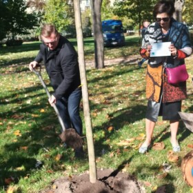 Akcja zarządu PKiN pod hasłem „Zapuść korzenie w sercu miasta”, 10 października 2022 r. Fot. Katarzyna Kaczmarska
