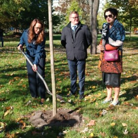 Akcja zarządu PKiN pod hasłem „Zapuść korzenie w sercu miasta”, 10 października 2022 r. Fot. Katarzyna Kaczmarska